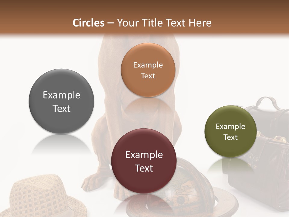 Globe Money Passport PowerPoint Template