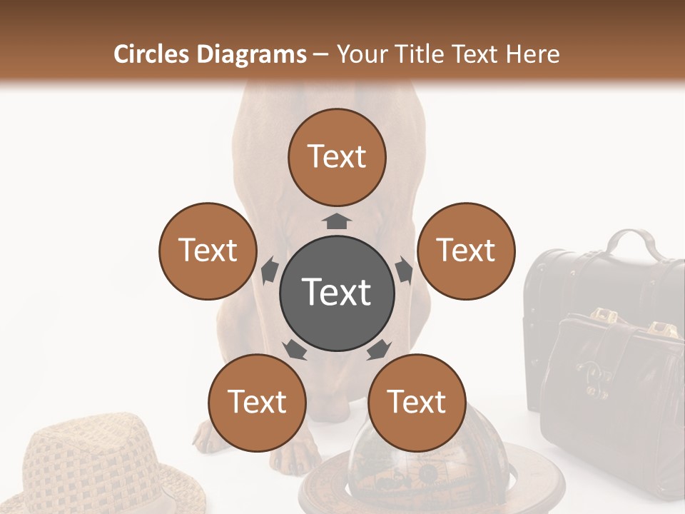 Globe Money Passport PowerPoint Template