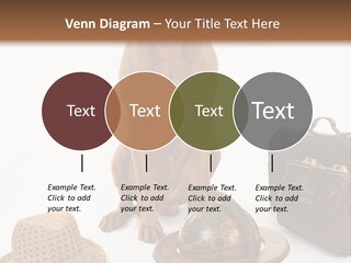 Globe Money Passport PowerPoint Template