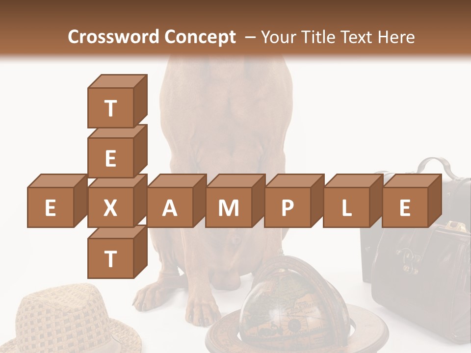 Globe Money Passport PowerPoint Template