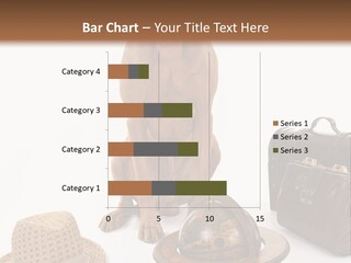 Globe Money Passport PowerPoint Template