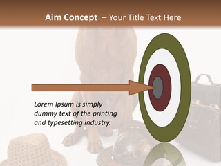 Globe Money Passport PowerPoint Template