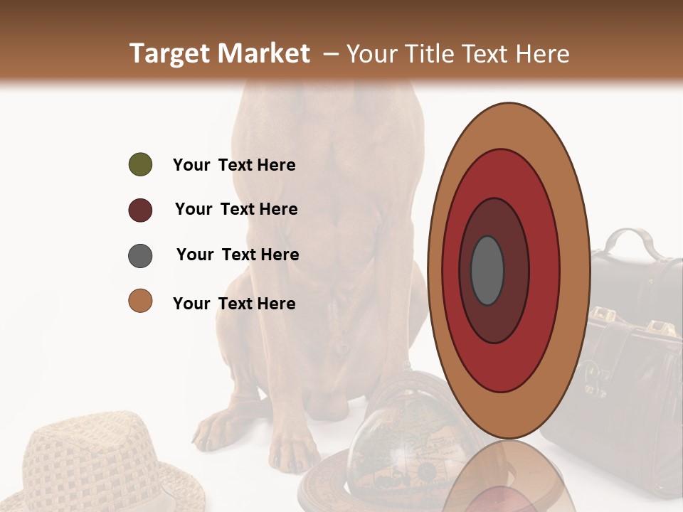 Globe Money Passport PowerPoint Template