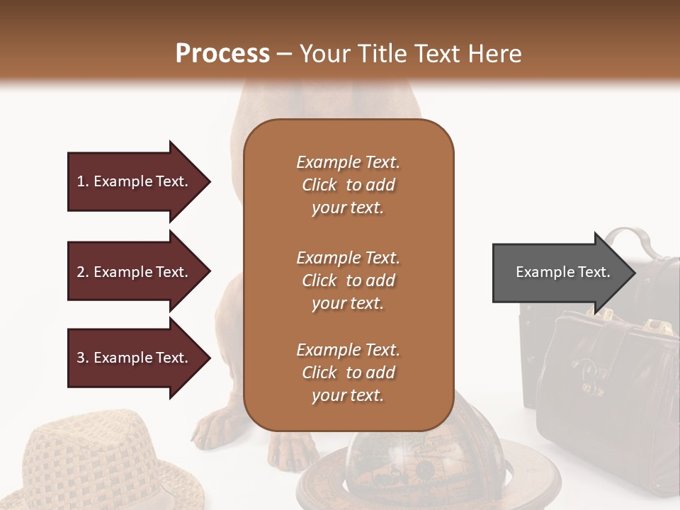 Globe Money Passport PowerPoint Template