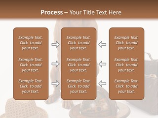 Globe Money Passport PowerPoint Template