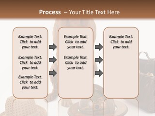 Globe Money Passport PowerPoint Template