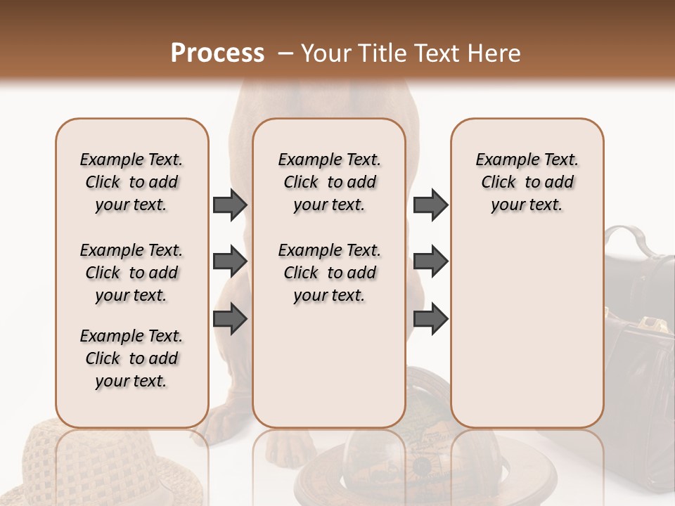 Globe Money Passport PowerPoint Template