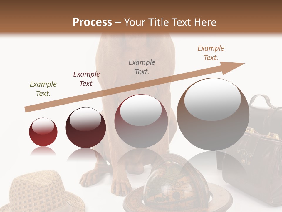 Globe Money Passport PowerPoint Template
