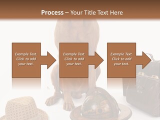 Globe Money Passport PowerPoint Template