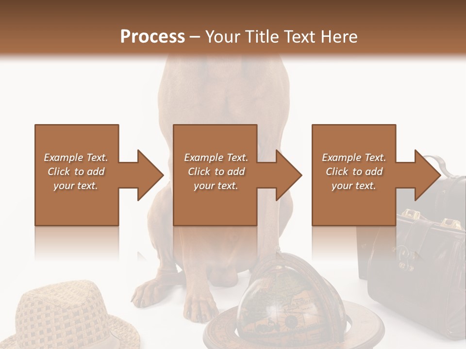 Globe Money Passport PowerPoint Template