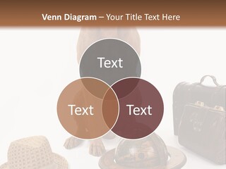 Globe Money Passport PowerPoint Template