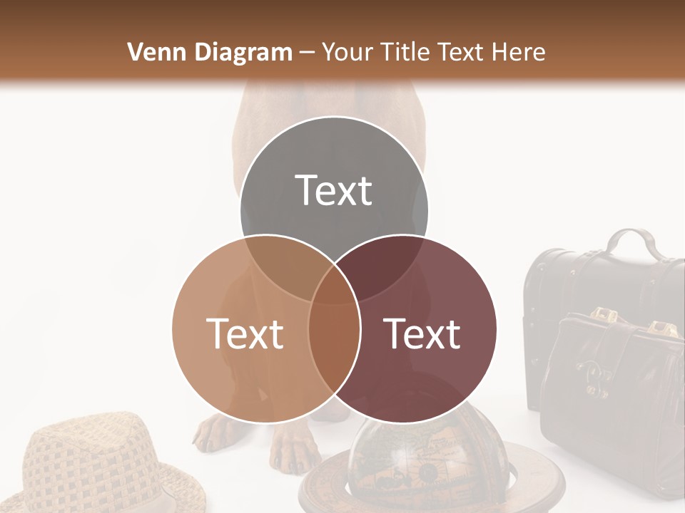 Globe Money Passport PowerPoint Template