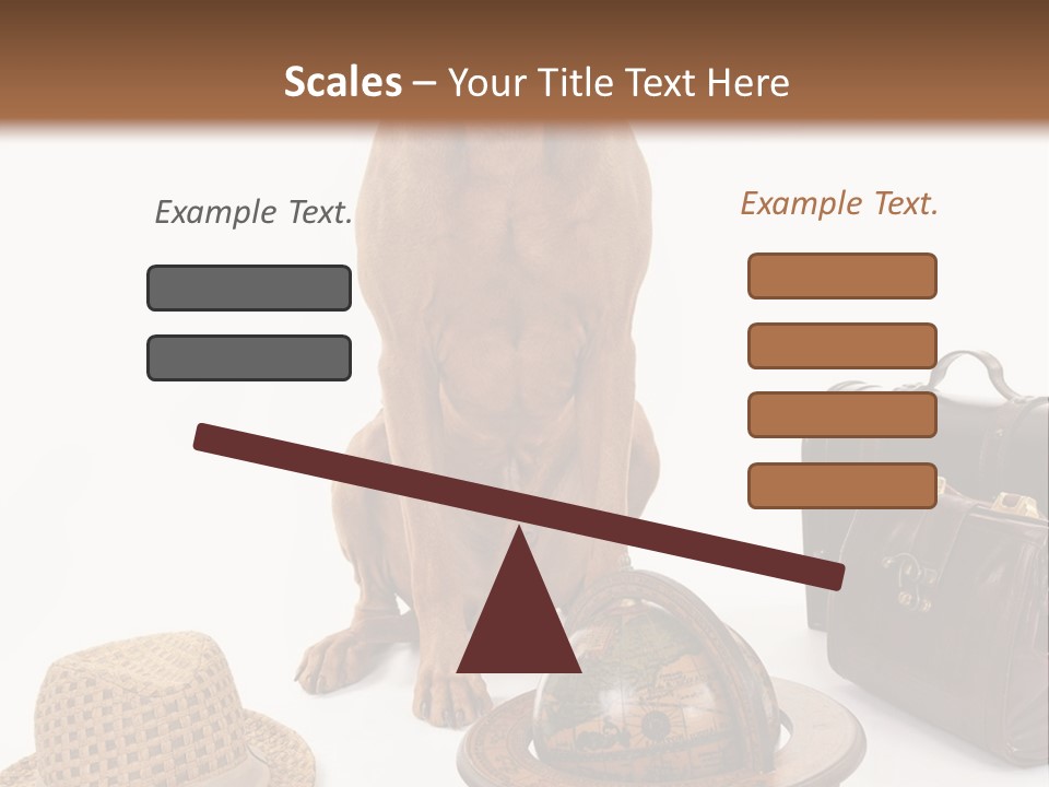 Globe Money Passport PowerPoint Template