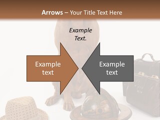 Globe Money Passport PowerPoint Template