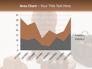 Globe Money Passport PowerPoint Template