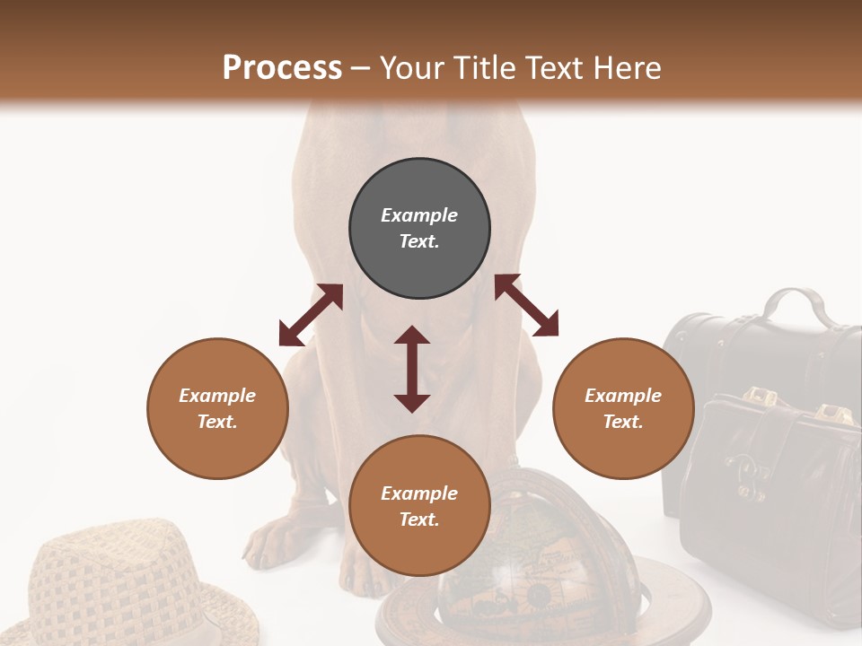 Globe Money Passport PowerPoint Template