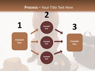 Globe Money Passport PowerPoint Template