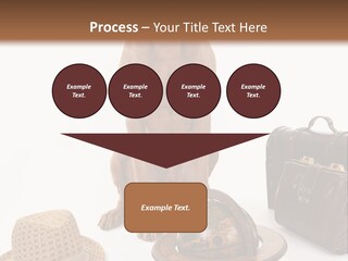 Globe Money Passport PowerPoint Template