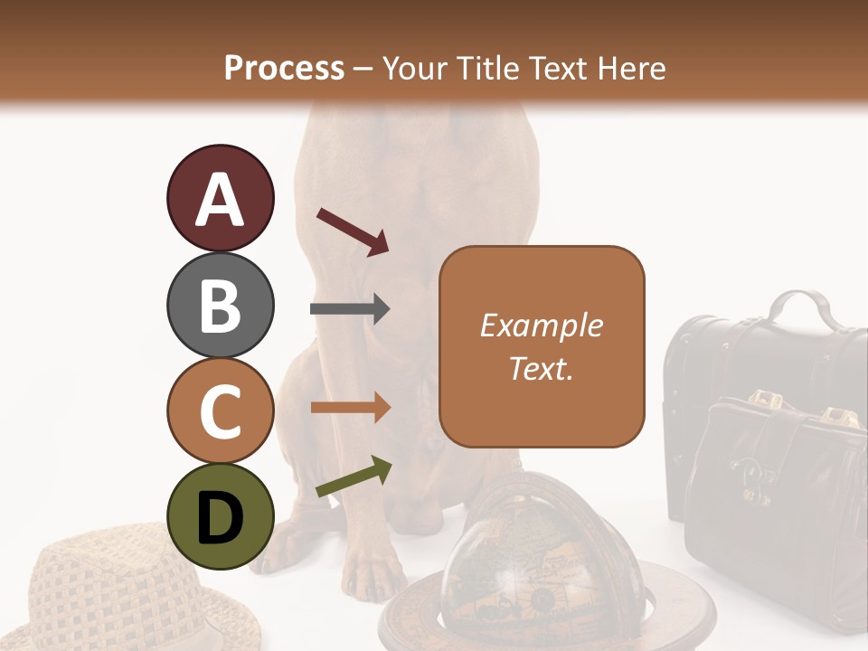 Globe Money Passport PowerPoint Template