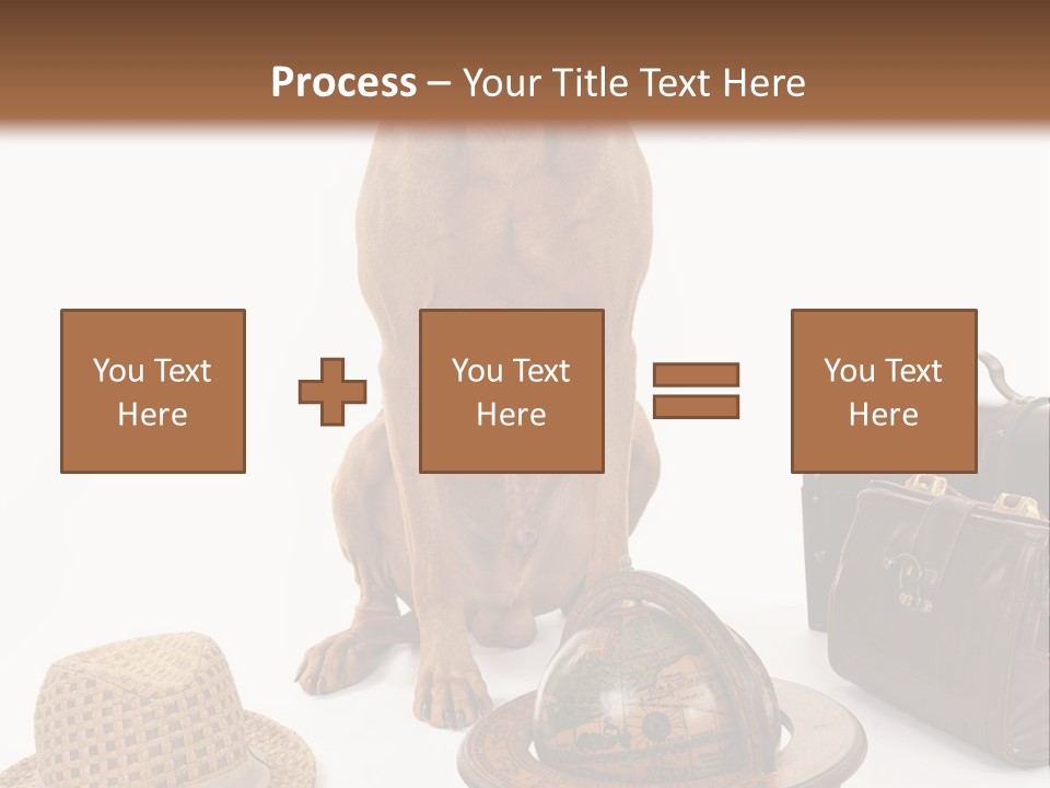 Globe Money Passport PowerPoint Template