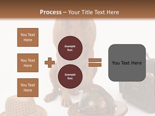 Globe Money Passport PowerPoint Template