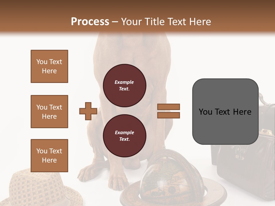 Globe Money Passport PowerPoint Template