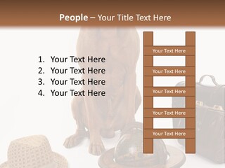 Globe Money Passport PowerPoint Template