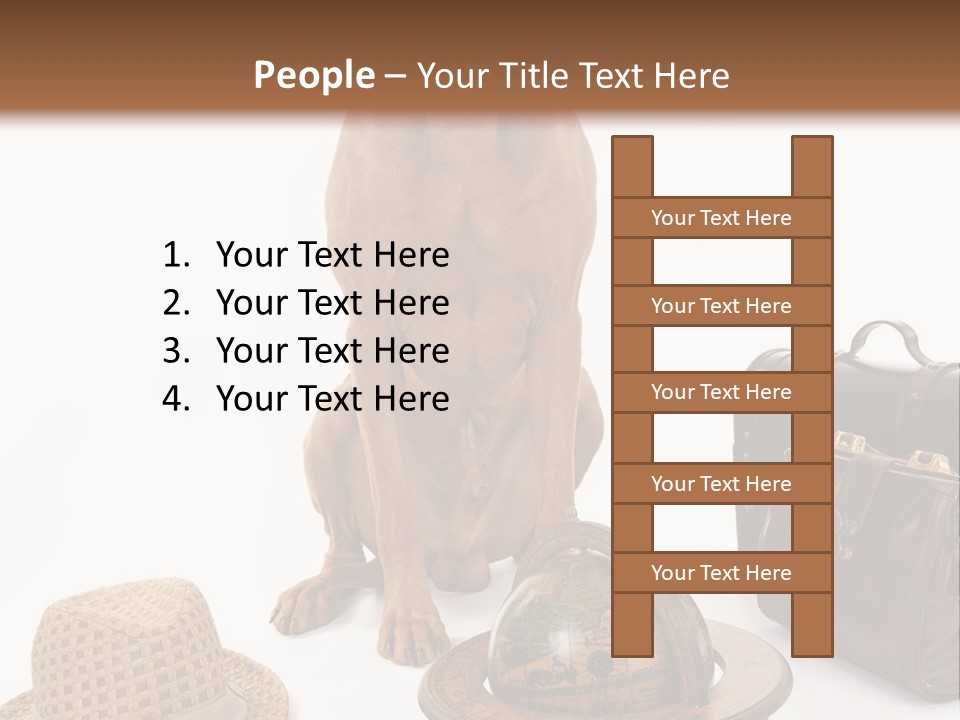 Globe Money Passport PowerPoint Template