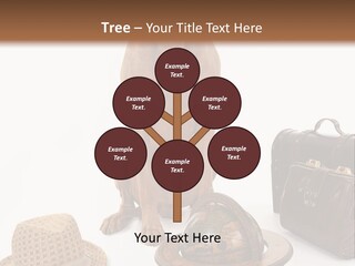 Globe Money Passport PowerPoint Template