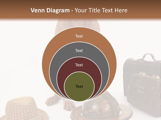 Globe Money Passport PowerPoint Template