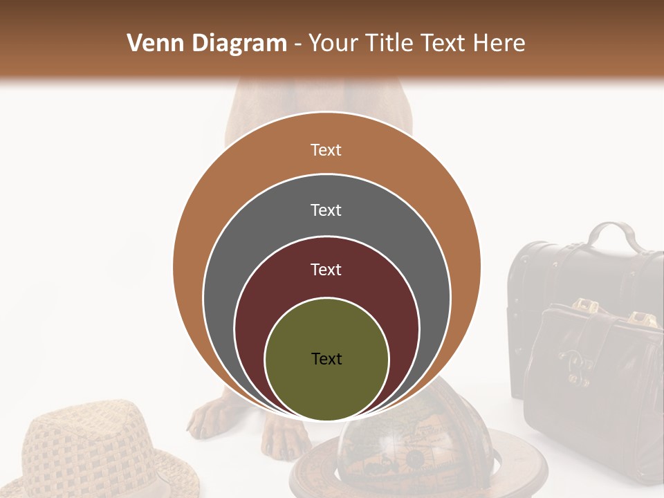 Globe Money Passport PowerPoint Template