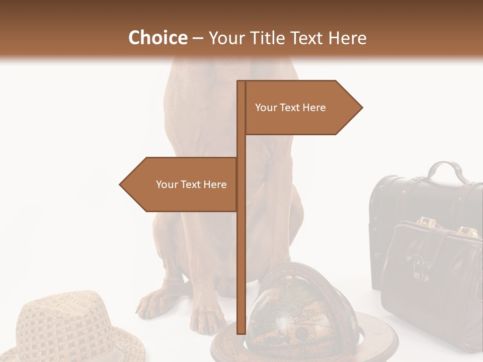 Globe Money Passport PowerPoint Template