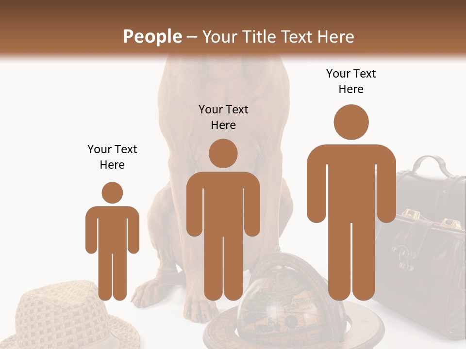 Globe Money Passport PowerPoint Template