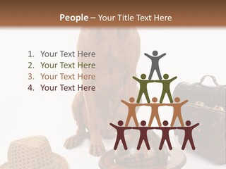 Globe Money Passport PowerPoint Template