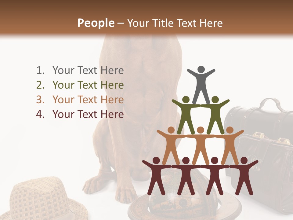 Globe Money Passport PowerPoint Template