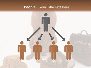 Globe Money Passport PowerPoint Template