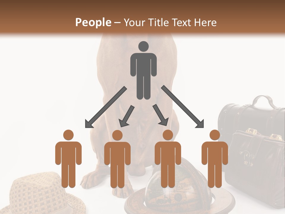 Globe Money Passport PowerPoint Template