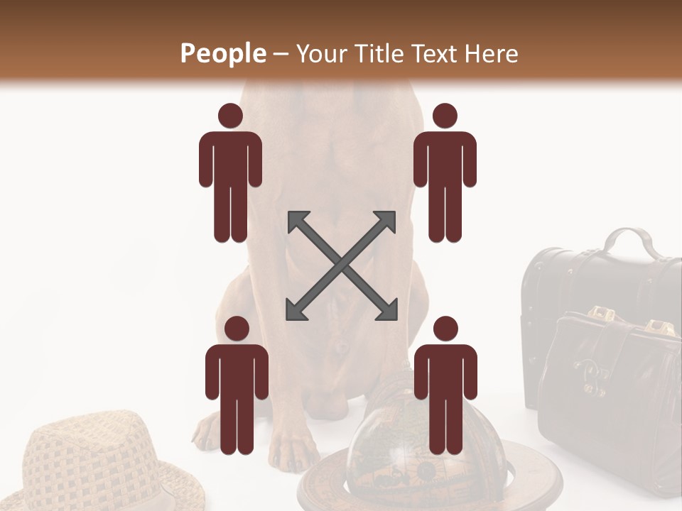 Globe Money Passport PowerPoint Template