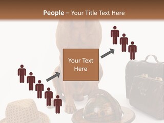 Globe Money Passport PowerPoint Template