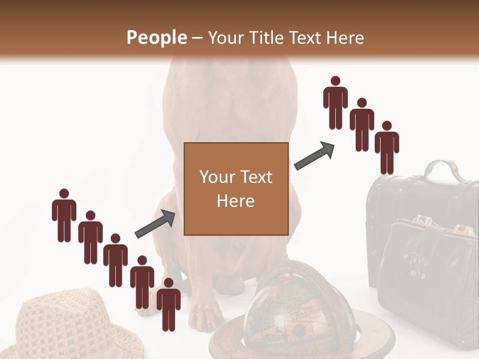 Globe Money Passport PowerPoint Template