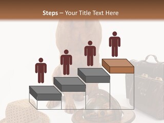 Globe Money Passport PowerPoint Template