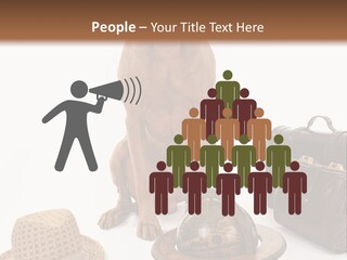 Globe Money Passport PowerPoint Template