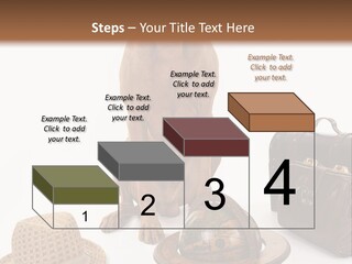 Globe Money Passport PowerPoint Template