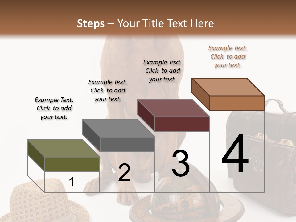 Globe Money Passport PowerPoint Template