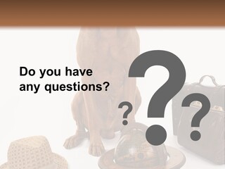 Globe Money Passport PowerPoint Template