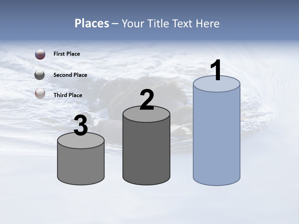 Outdoor Domestic Animal Game Keeping PowerPoint Template