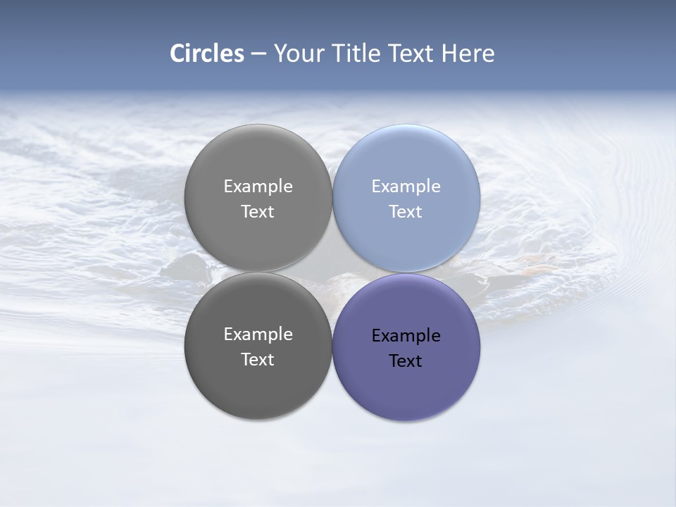 Outdoor Domestic Animal Game Keeping PowerPoint Template