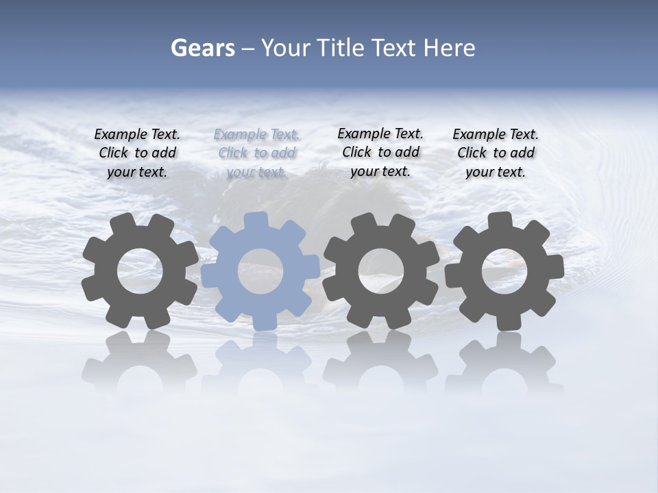 Outdoor Domestic Animal Game Keeping PowerPoint Template