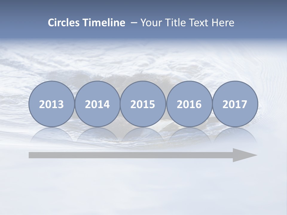 Outdoor Domestic Animal Game Keeping PowerPoint Template