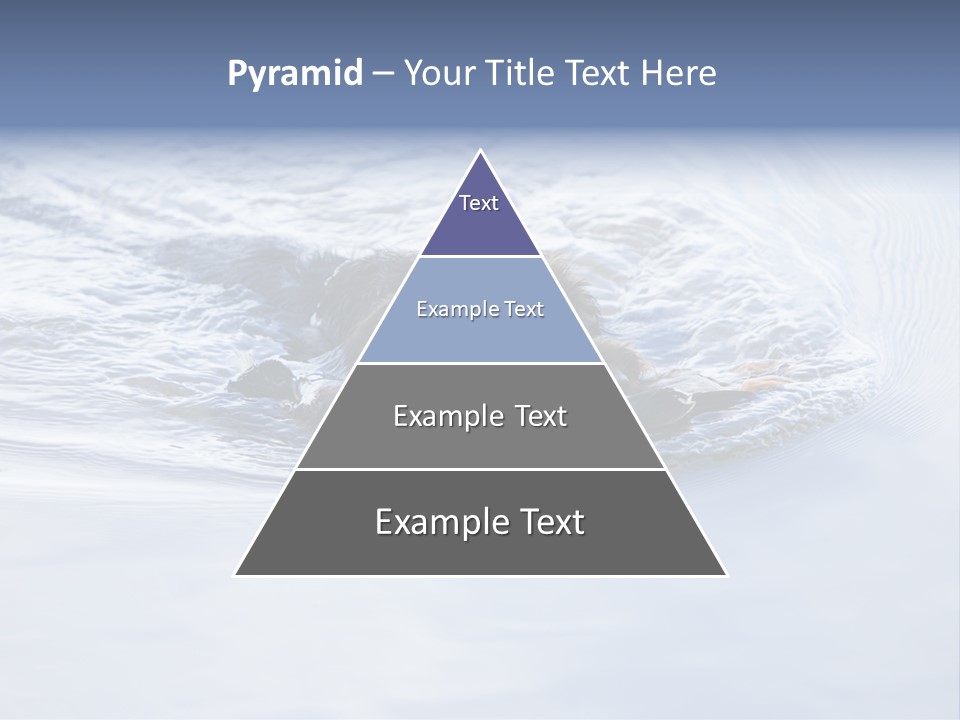 Outdoor Domestic Animal Game Keeping PowerPoint Template